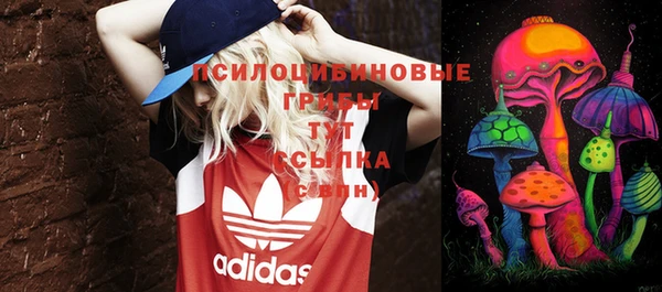 меф Белокуриха
