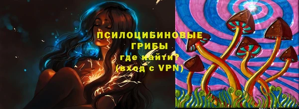 меф Белокуриха